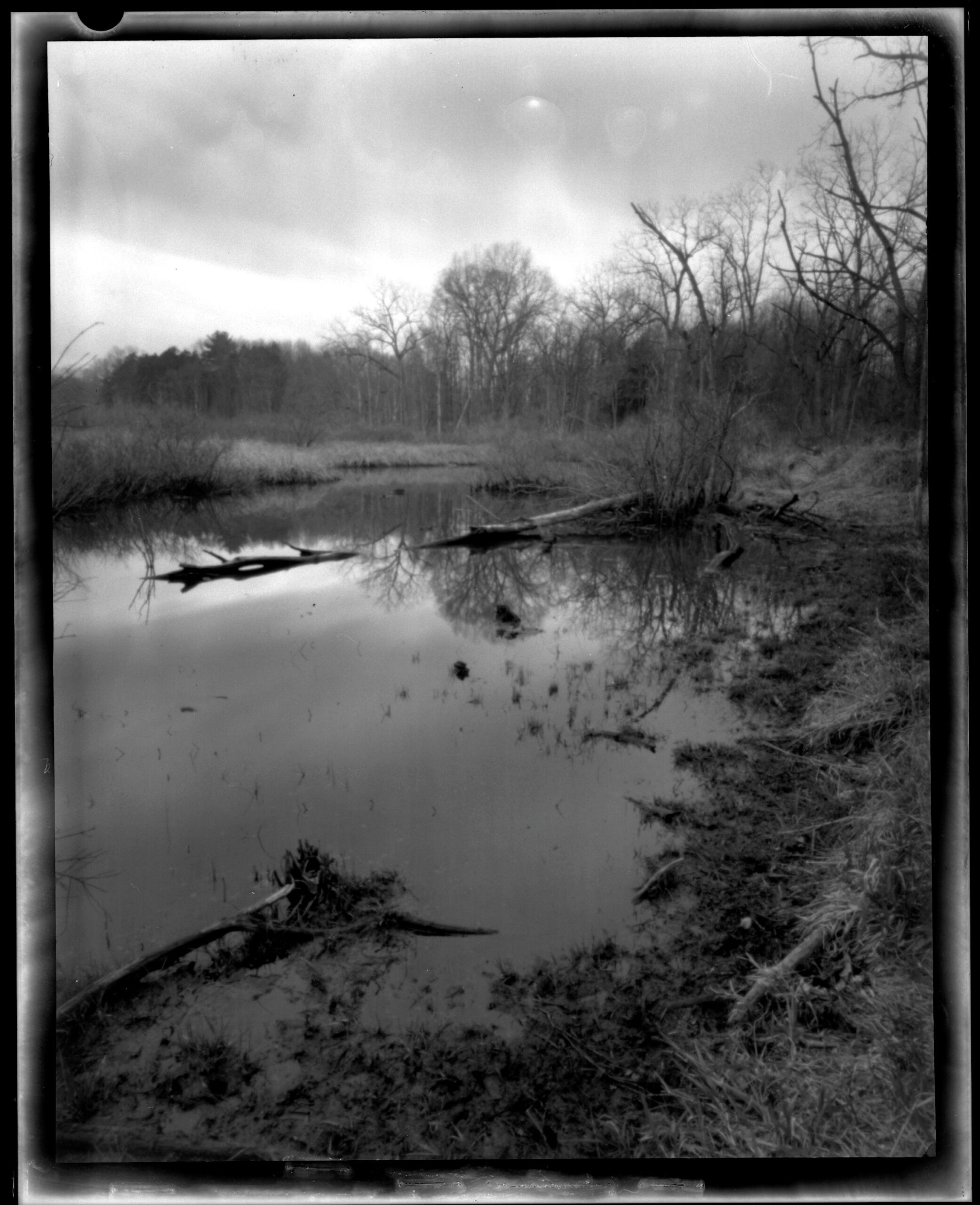 Pinhole, Black Walnut Developer, Red Filter?