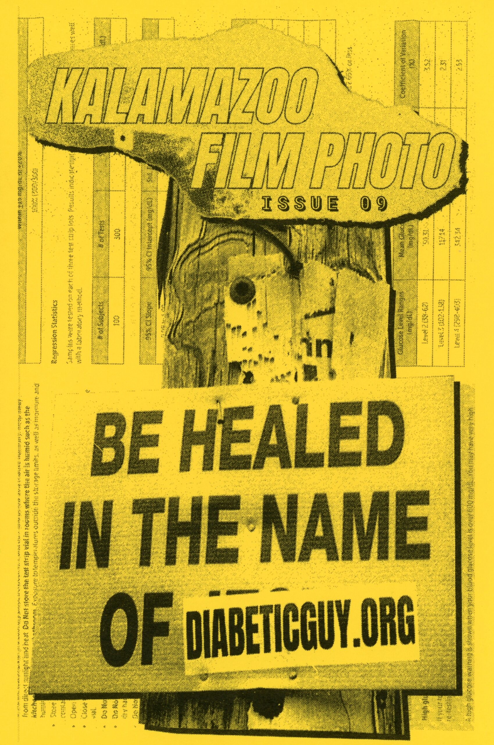 the cover of KZOO FILM PHOTO ISSUE 09. The cover is on yellow paper with black ink. at the top, there is a KALAMAZOO FILM PHOTO logo, beneath it it says ISSUE 09. There is an image of a street sign that says "BE HEALED IN THE NAME OF..." with a DIABETICGUY.ORG sticker covering the last word.