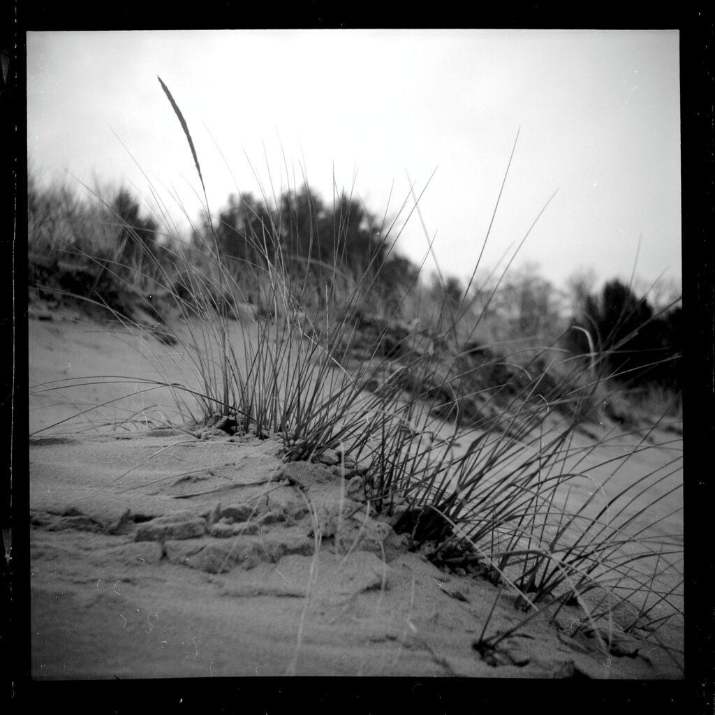 a black and white photo of sand and dune grass on the shore of lake michigan