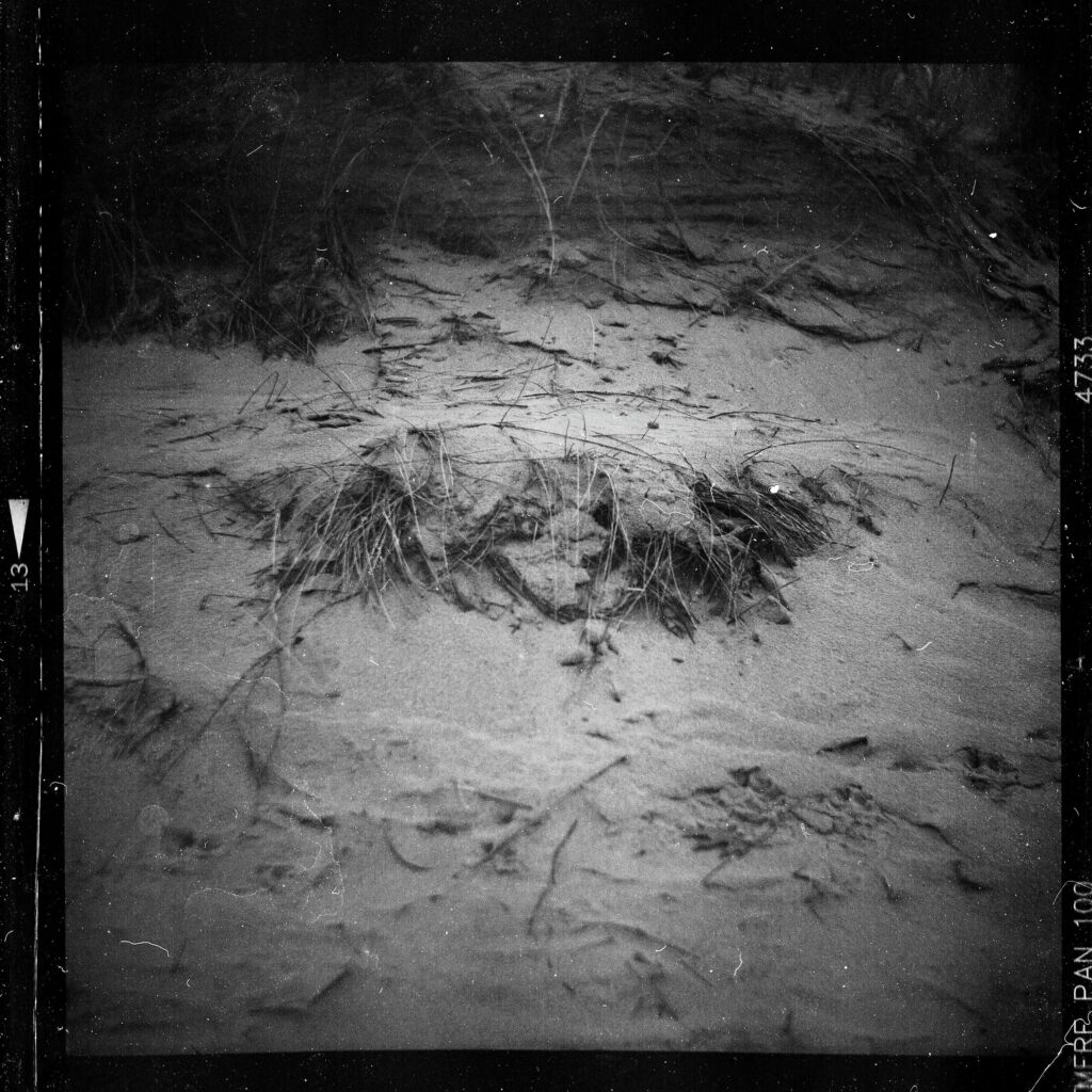 a black and white photo of sand and dune grass on the shore of lake michigan