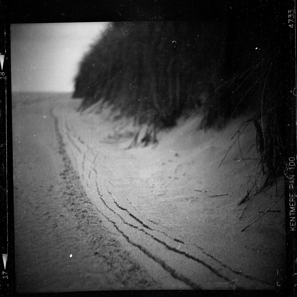 a black and white photo of sand and dune grass on the shore of lake michigan